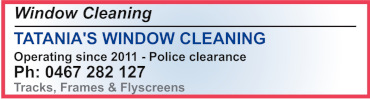 Category listing for Window Cleaning